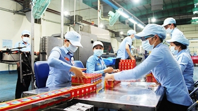 The return of Resolution 02 and businesses' expectations on business environment reform