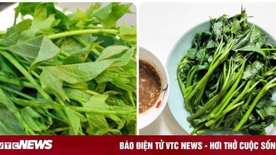 តើ​ស្លឹក​ដំឡូង​បារាំង​ស្ងោរ​មាន​ឥទ្ធិពល​អ្វី?
