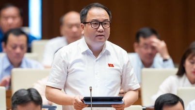 'Don't let Vietnam become a testing ground for technology products'
