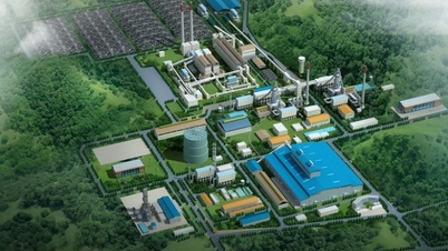 Recuperación de más de 460 hectáreas de tierra de Viet Trung Minerals and Metallurgy Company Limited en Lao Cai