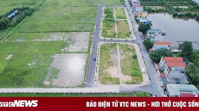 Huyện Thanh Oai, Hà Nội tạm dừng đấu giá 39 lô đất trong tháng 12