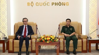 Bộ trưởng Bộ Quốc phòng tiếp Đại sứ, Trưởng Phái đoàn Liên minh châu Âu tại Việt Nam
