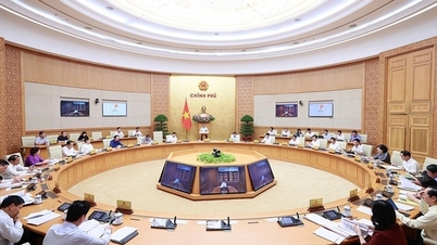 Bổ nhiệm Trợ lý Thủ tướng làm Phó Chủ nhiệm Văn phòng Chính phủ