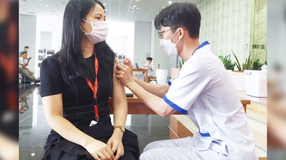 Nhân viên văn phòng tiêm vaccine ngừa bệnh hô hấp