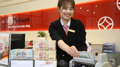 IFC đầu tư 150 triệu USD vào trái phiếu xanh do SeABank phát hành