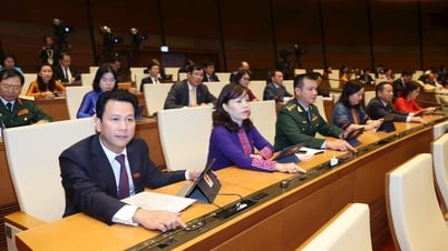 Quốc hội quyết định trao thêm nhiều cơ chế, chính sách đặc thù phát triển cho Tp.HCM
