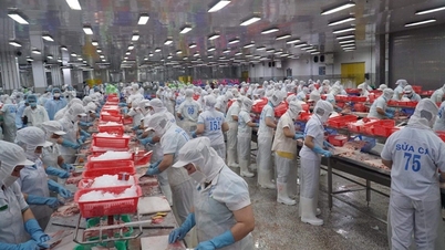Xuất khẩu cá tra giảm 30%