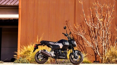 Honda ra mắt xe côn tay tí hon Grom 2025, giá từ 3599 USD