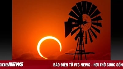Nhật thực 'vòng tròn lửa' 2023 sẽ diễn ra vào tháng 10