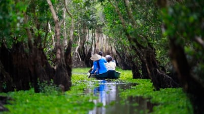 រដូវទឹកជំនន់នៅព្រៃត្រាស៊ូ