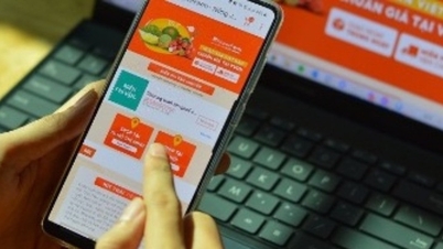 Bản tin kinh tế 23/12: Thương mại điện tử VN tăng; đẩy mạnh cho vay tiêu dùng