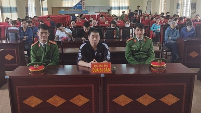 Tàng trữ trái phép hơn 41 kg pháo, bị tuyên án 45 tháng tù