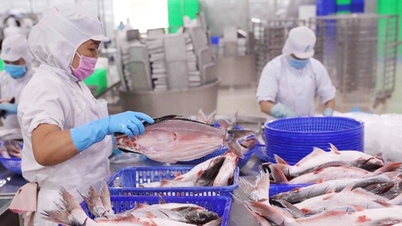 ភាគហ៊ុន VHC ដែលជាក្រុមហ៊ុនអាហារសមុទ្រយក្ស Vinh Hoan បានស្ទុះងើបឡើងដល់កម្រិតខ្ពស់ក្នុងរយៈពេល 16 ខែ