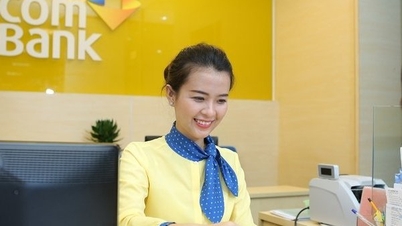 Vi phạm quy định đầu tư tài chính, PVCB Capital bị phạt 175 triệu đồng