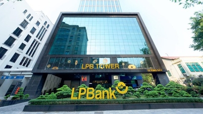 Lộ diện 2 ứng viên tham gia vào HĐQT LPBank