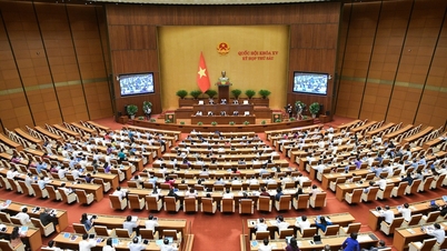 Quốc hội sáng nay thảo luận cơ chế xử lý người trúng đấu giá rồi bỏ cọc
