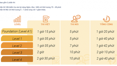 Tất tần tật những điều cần biết về thi chứng chỉ tiếng Anh PEIC