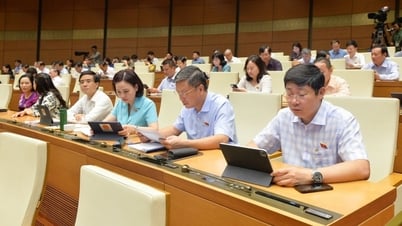 Đại biểu Quốc hội đề nghị đổi mới ban soạn thảo để khắc phục tình trạng “luật khung, luật ống”