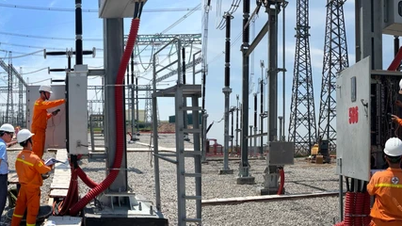 Thủ tướng Chính phủ: Dự án đường dây 500kV 'rất đáng khen ngợi và tự hào'