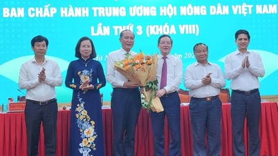Phó Chủ tịch HĐND Bạc Liêu làm Phó Chủ tịch Hội Nông dân Việt Nam