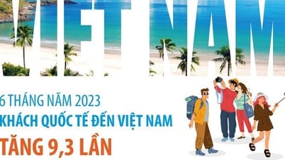 5,6 triệu lượt khách quốc tế đến Việt Nam trong 6 tháng
