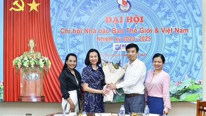 ខិតខំបំពេញការងារដែលមានជំនាញវិជ្ជាជីវៈ
