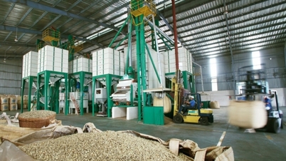 Tận dụng hiệu quả C/O, khơi mở "cao tốc" dẫn vào thị trường EU
