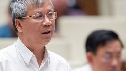 Al repasar el caso de Vietnam, un miembro de la Asamblea Nacional dijo que "el engaño espectacular fue tan afilado como un cuchillo".