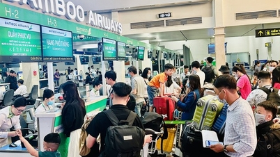 Bamboo Airways đưa tiếp viên xuống làm thủ tục check-in ở sân bay Tân Sơn Nhất
