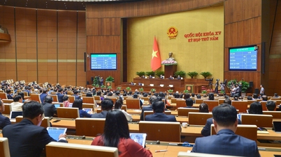 The National Assembly passed the Resolution of the 5th session, 15th National Assembly.