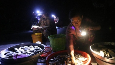 Chợ ma Tha La ở An Giang họp nửa đêm, trên trời tối om, dưới la liệt cá đồng ngon dưới ánh đèn pin