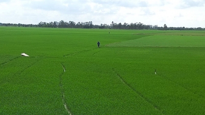 Clean land planning for high-tech agricultural development