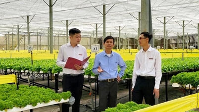 ធនាគារ Agribank បន្តកែសម្រួលអត្រាការប្រាក់ចុះក្រោមសម្រាប់កម្ចីមិនទាន់មានស្រាប់របស់អតិថិជនទាំងអស់។