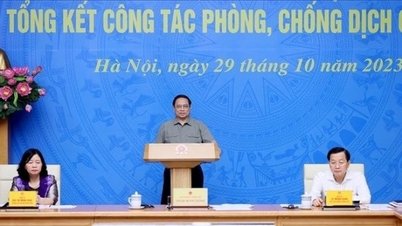 ដាក់ ​​Covid-19 ជាប្រវត្តិសាស្ត្រ!