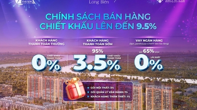 Xuân an cư – Đầu tư sinh tài cùng Khai Sơn City