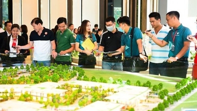 Revenue of 61,000 billion VND from real estate in the first 3 months of the year