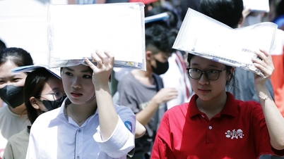The highest floor score of Ho Chi Minh City University of Agriculture and Forestry in 2024 is 22