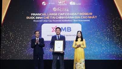 MB ទទួលបានពានរង្វាន់ 'ពីរដង' នៅ IR Awards 2024