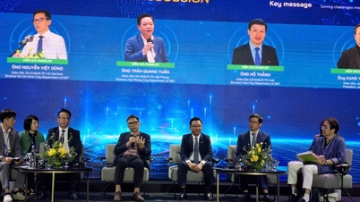 Vietnamese universities are weak in solving practical problems.