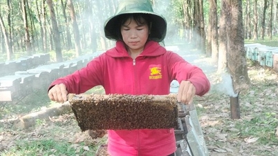Xây dựng thương hiệu cho sản phẩm mật ong