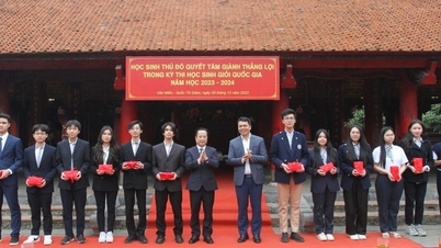 Every year, hundreds of national and international awards are given, how much money does Hanoi pay out?
