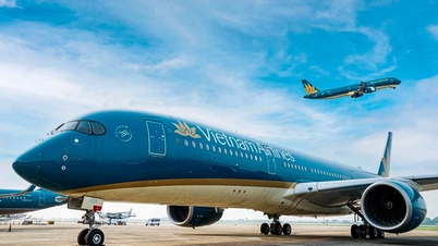 'Self-efforts help Vietnam Airlines overcome difficulties'