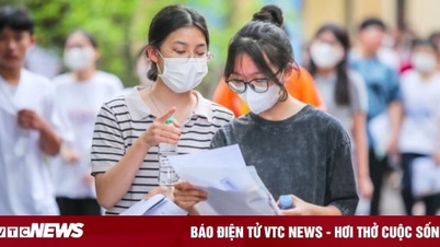 Mức lương ngành Kinh doanh quốc tế có cao như lời đồn?