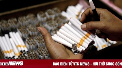 Increasing special consumption tax on tobacco: What do experts analyze?