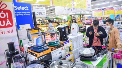FTA វៀតណាម - អ៊ីស្រាអែល៖ ខ្យល់អាកាសបរិសុទ្ធសម្រាប់ឧស្សាហកម្មលក់រាយរបស់វៀតណាម