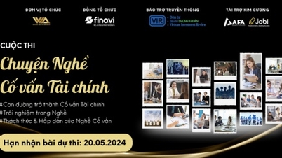 Khám phá những câu chuyện nghề cố vấn tài chính