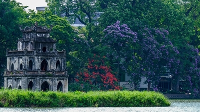កោតសរសើរទីក្រុងហាណូយដ៏រ៉ូមែនទិកក្នុងរដូវផ្កា Lagerstroemia ពណ៌ស្វាយ