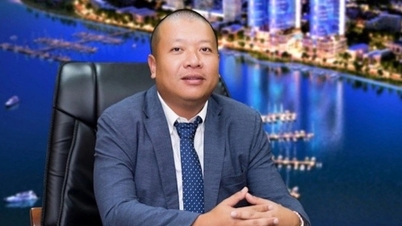 Vụ cựu chủ tịch hối lộ bằng cổ phiếu, Công ty dịch vụ Điện lực lên tiếng