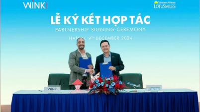 Vietnam Airlines сотрудничает с Wink Hotels для улучшения качества обслуживания клиентов