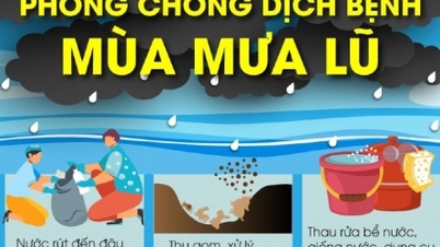 Bộ Y tế khuyến cáo biện pháp phòng, chống các loại dịch bệnh mùa mưa lũ